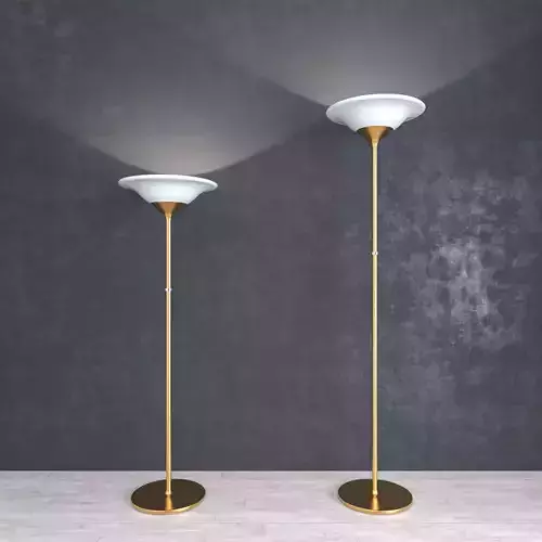 Floor Lamps