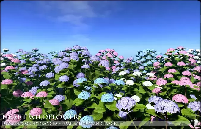 Low Polygon Hydrangeas for Games and Architectural Vis Low-poly 3D model