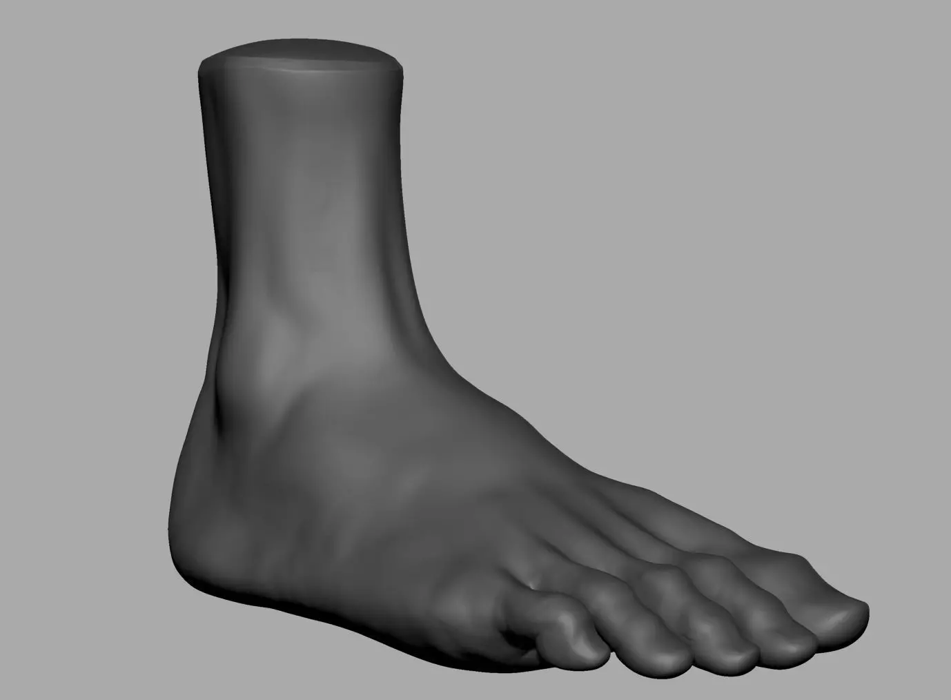 Foot Printable 3D print model_0