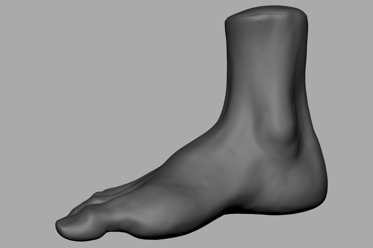 Foot Printable 3D print model_1