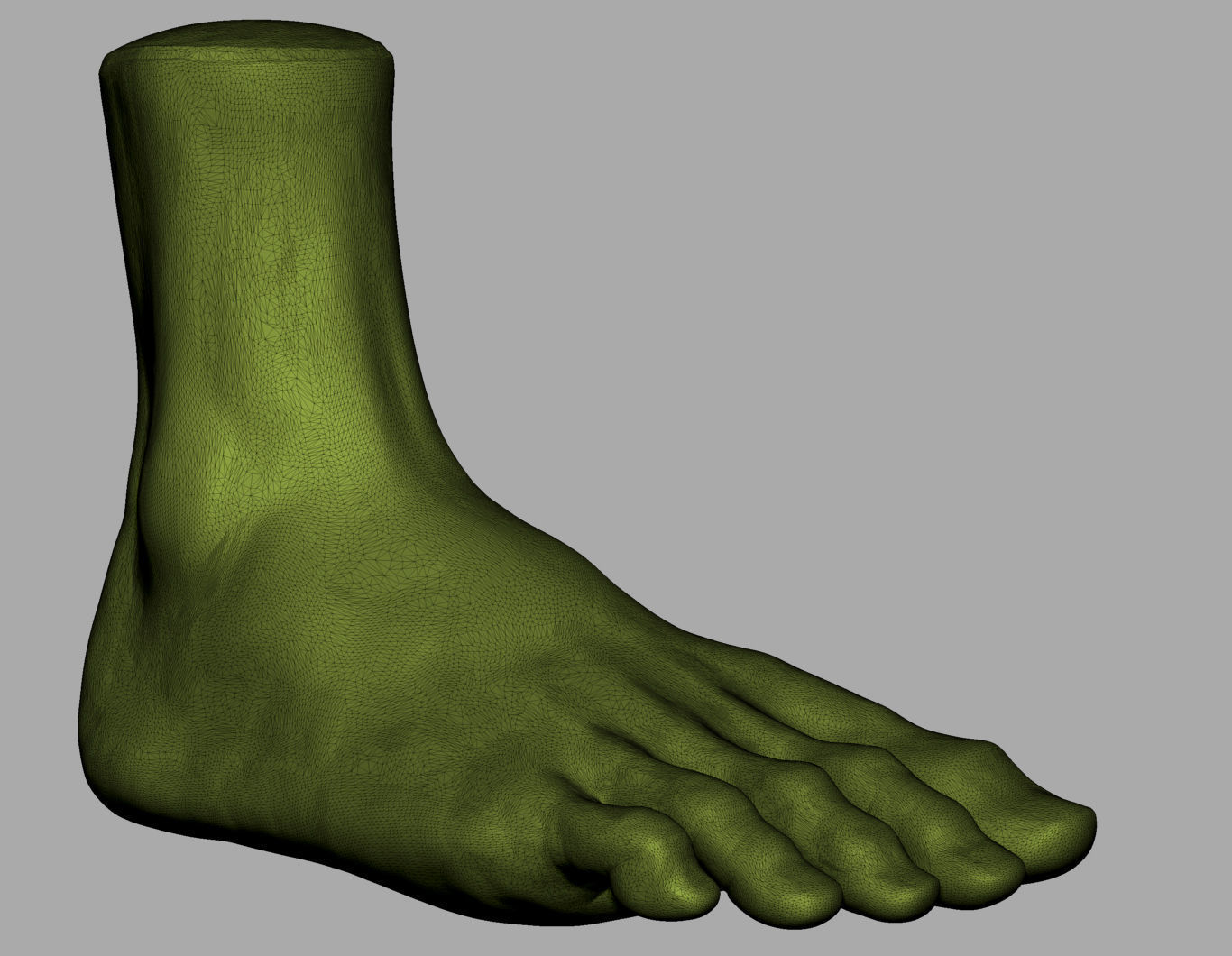 Foot Printable 3D print model_4