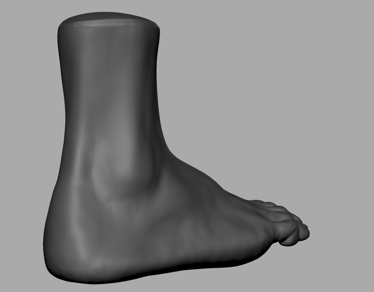 Foot Printable 3D print model_2