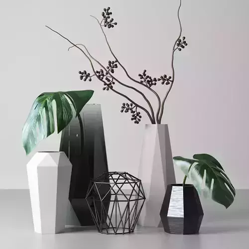 set1102 vases with plants