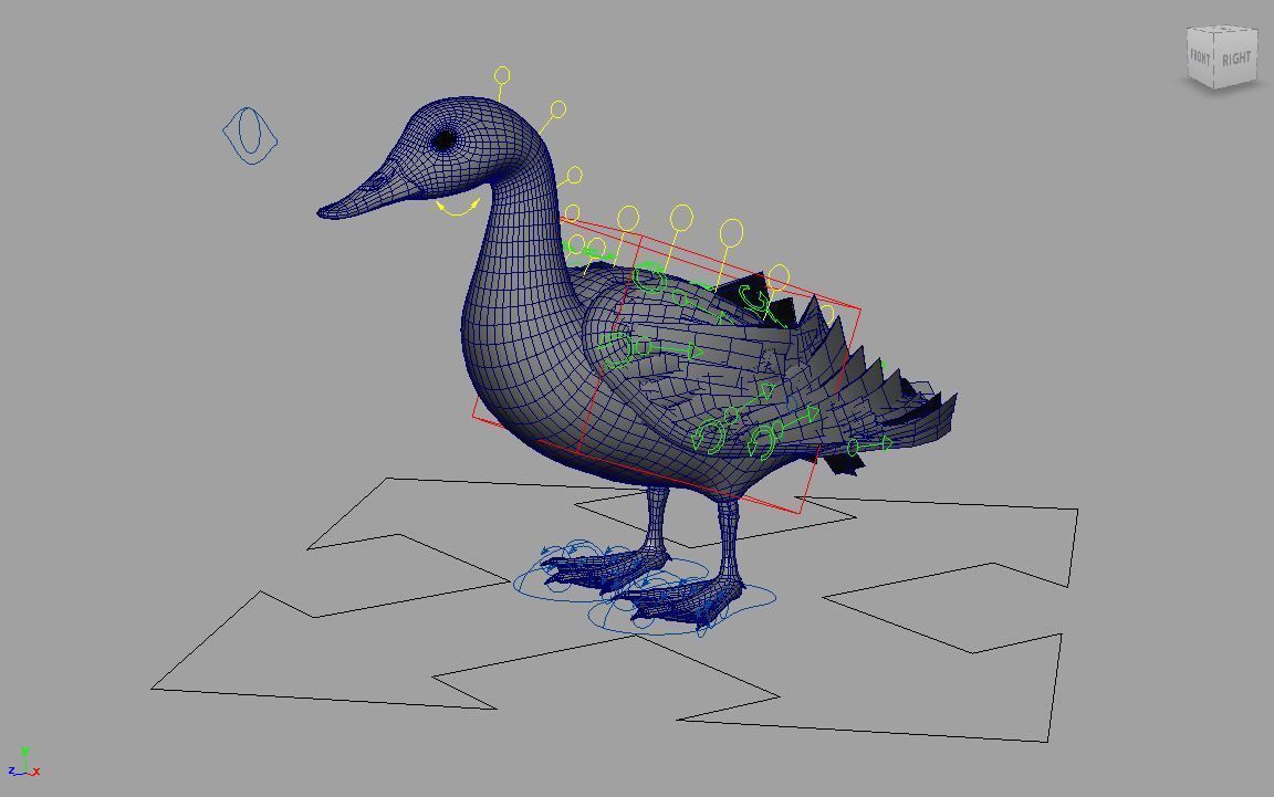 mallard duck flying in air 3D model_4