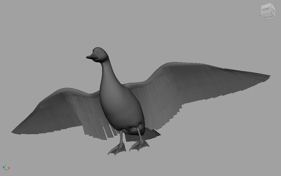 mallard duck flying in air 3D model_3