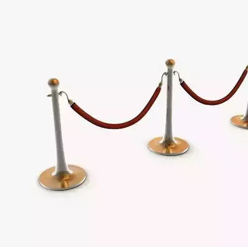 Stanchions and Rope Barrier