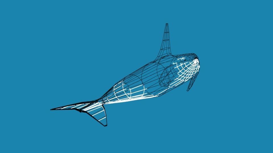 Low Poly Cartoon Orca Killer Whale Low-poly 3D model_14