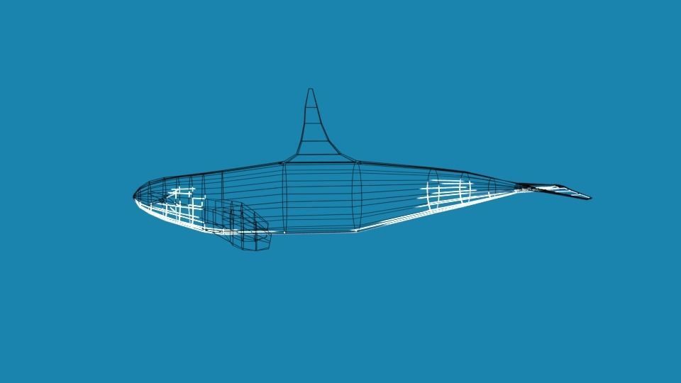 Low Poly Cartoon Orca Killer Whale Low-poly 3D model_10