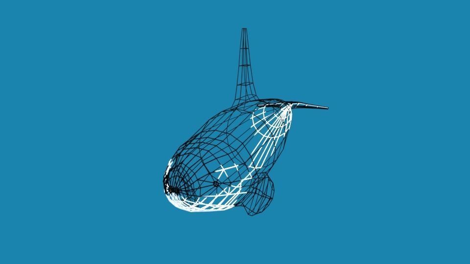 Low Poly Cartoon Orca Killer Whale Low-poly 3D model_11