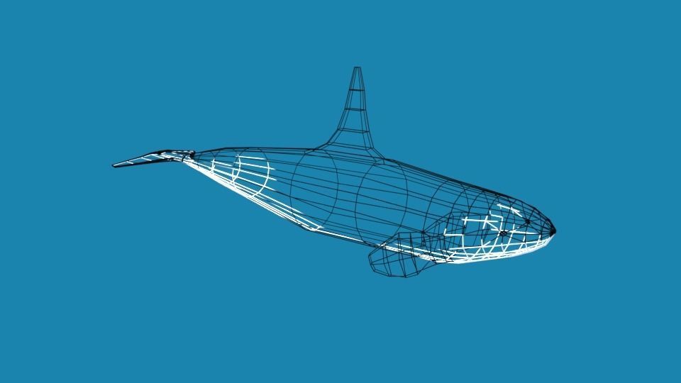 Low Poly Cartoon Orca Killer Whale Low-poly 3D model_12