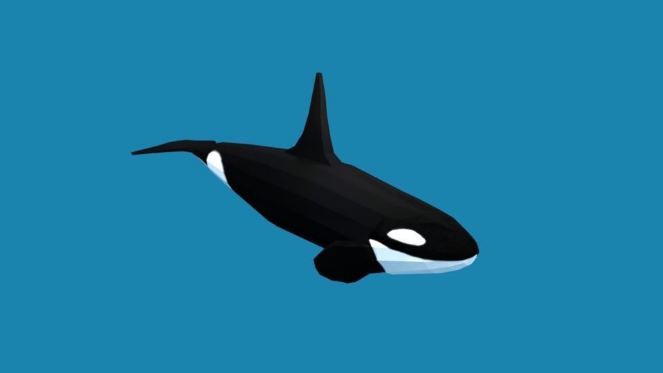 Low Poly Cartoon Orca Killer Whale Low-poly 3D model_3