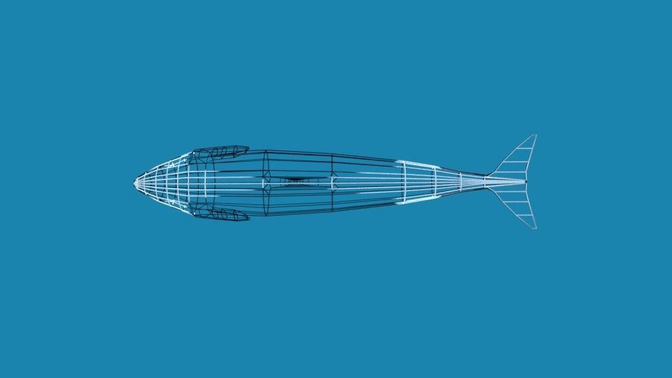 Low Poly Cartoon Orca Killer Whale Low-poly 3D model_17