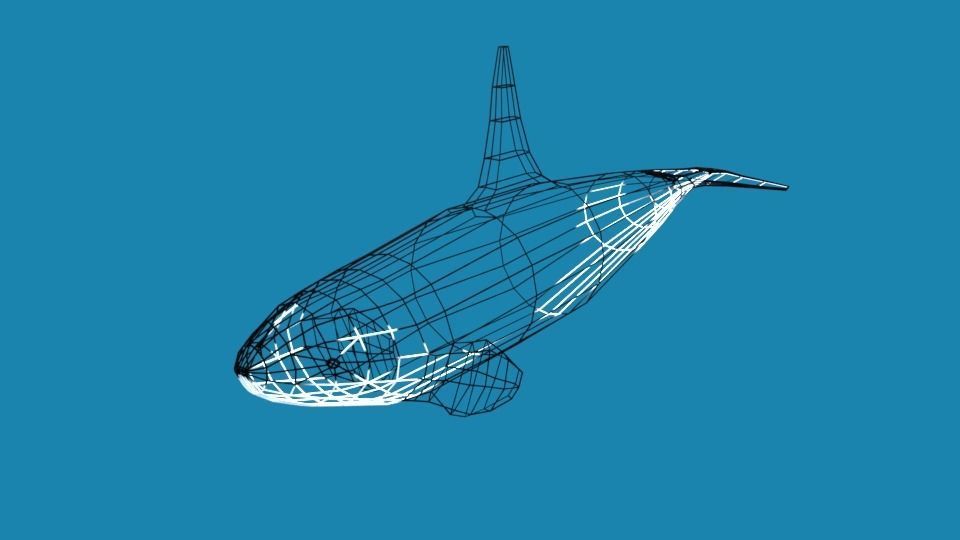 Low Poly Cartoon Orca Killer Whale Low-poly 3D model_9