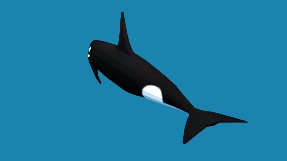 Low Poly Cartoon Orca Killer Whale Low-poly 3D model_6