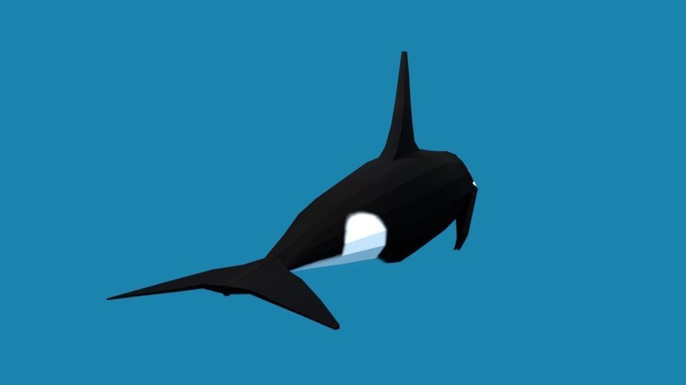Low Poly Cartoon Orca Killer Whale Low-poly 3D model_4