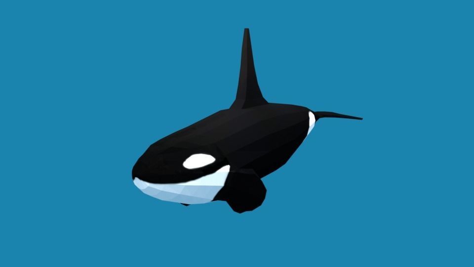 Low Poly Cartoon Orca Killer Whale Low-poly 3D model_2