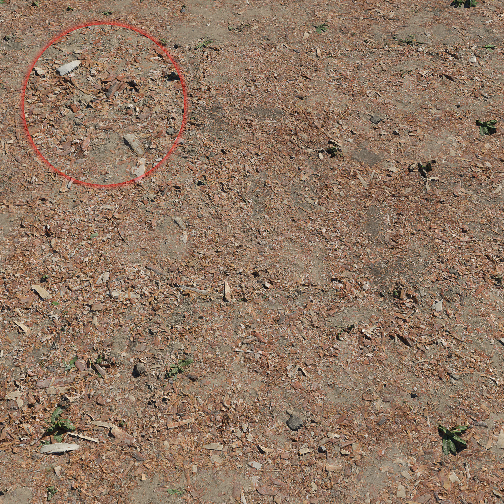 Ground with sawdust 3D model_1