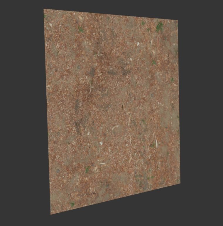 Ground with sawdust 3D model_4