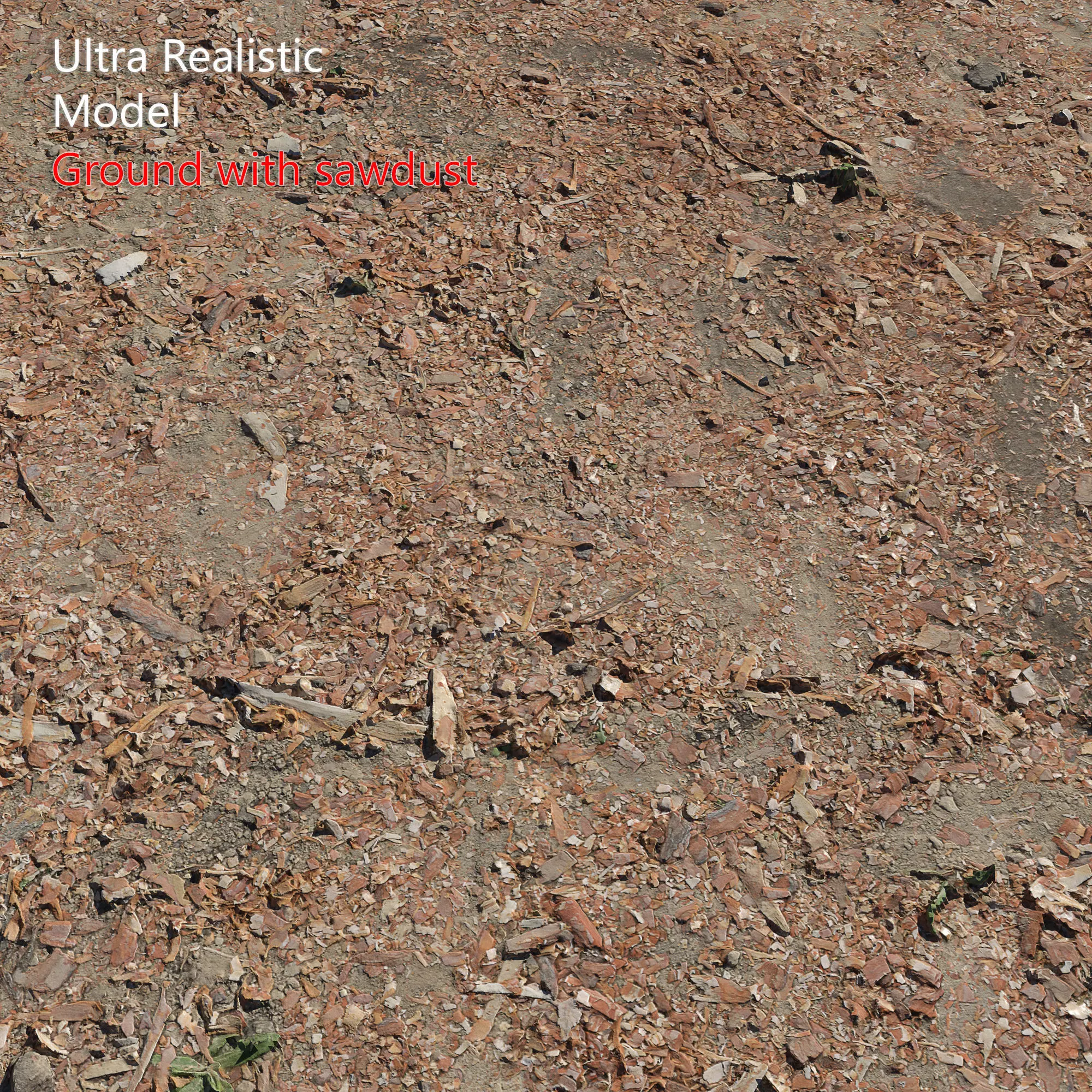 Ground with sawdust 3D model_0