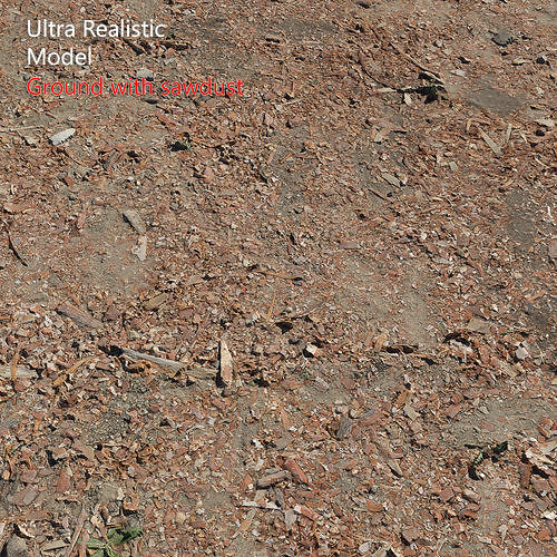 Ground with sawdust 3D model