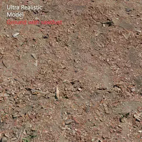 Ground with sawdust 3D model