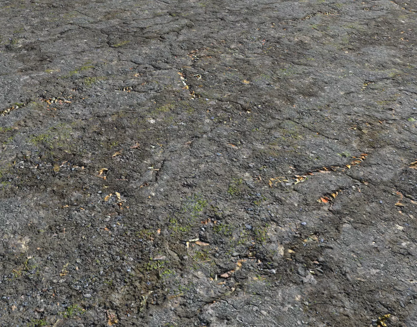 Old asphalt road 2 PBR Texture_0