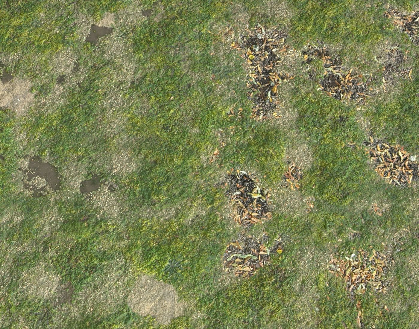 Grassy ground PBR Texture_4