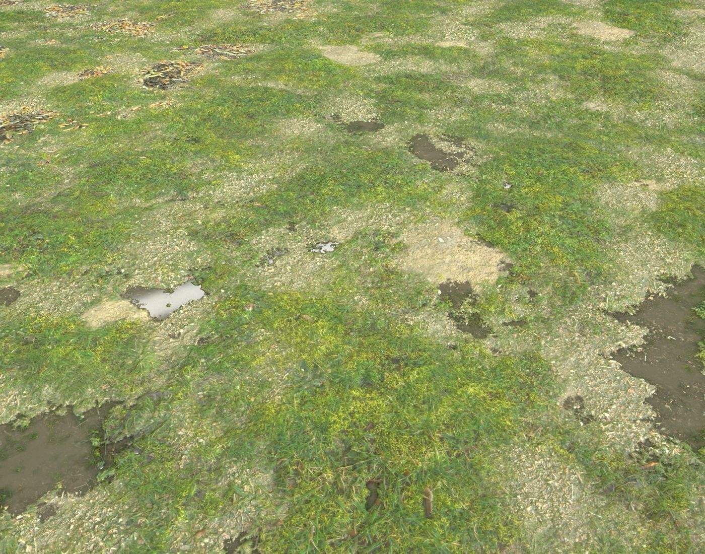 Grassy ground PBR Texture_2
