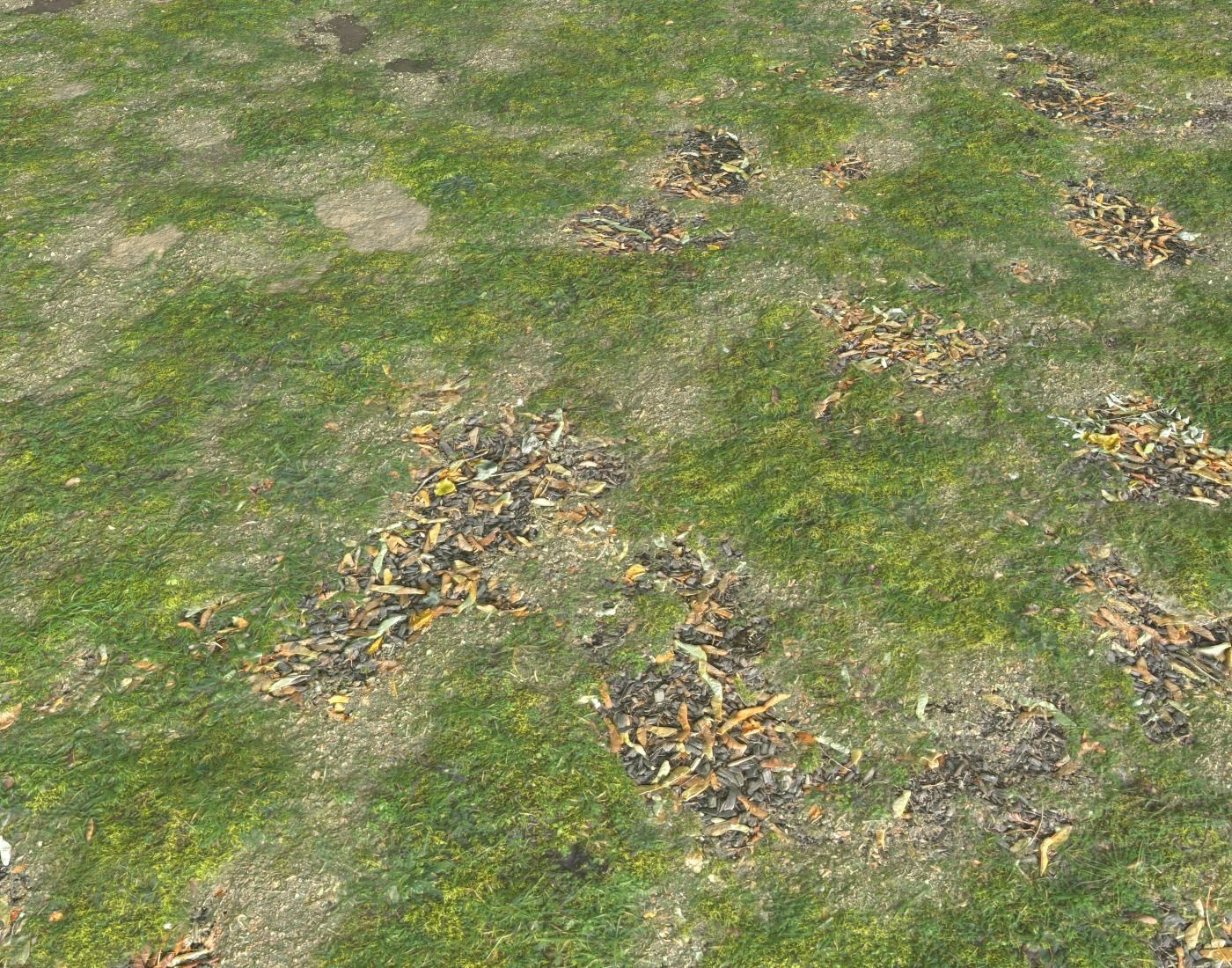 Grassy ground PBR Texture_3
