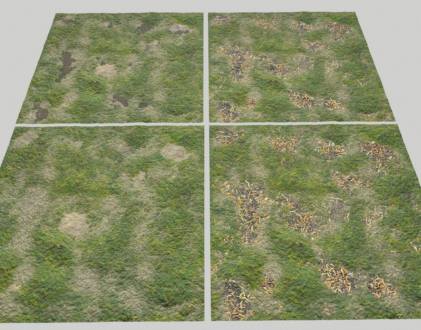Grassy ground PBR Texture_5