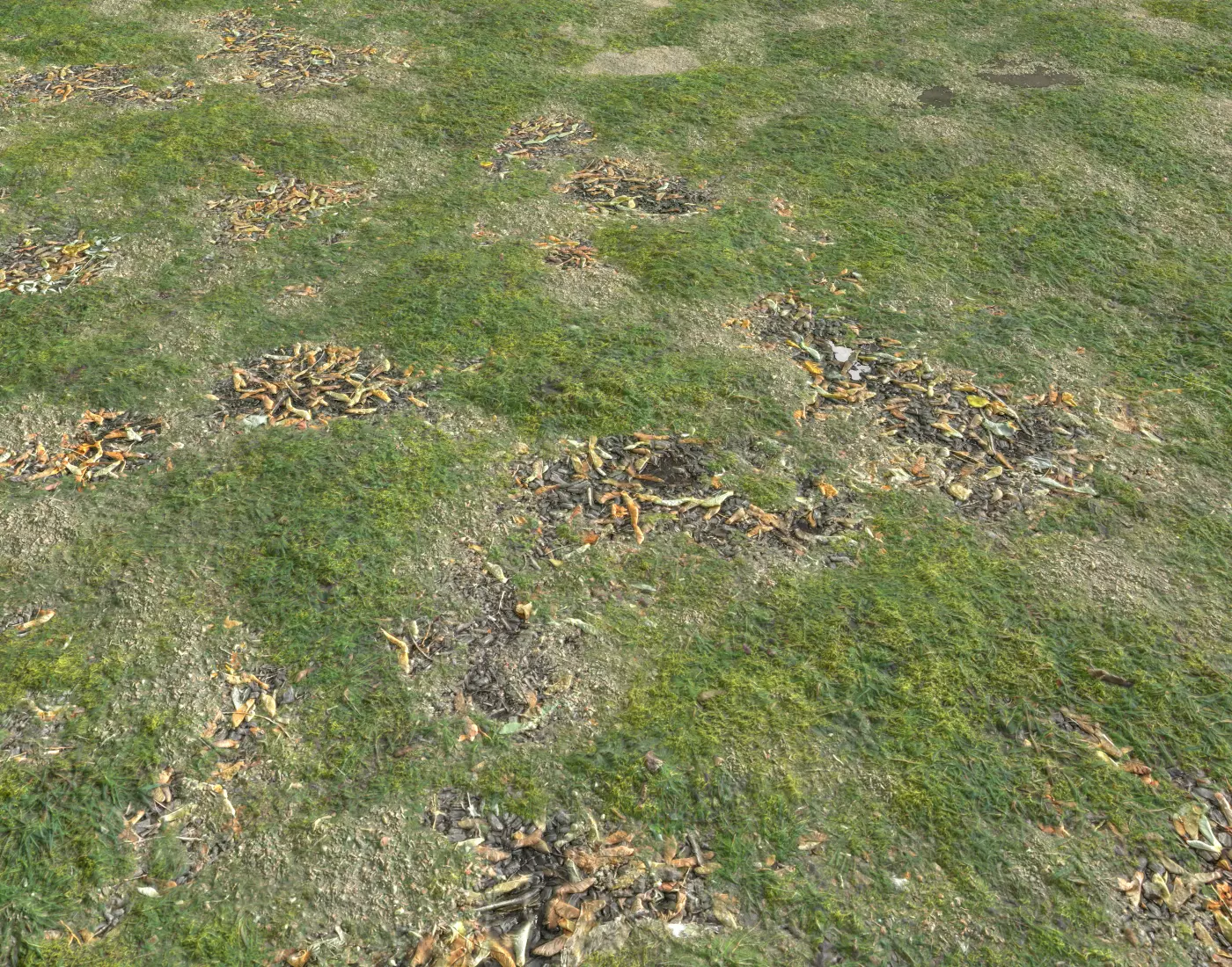 Grassy ground PBR Texture_0