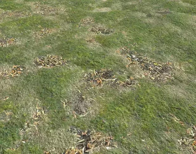 Grassy ground PBR Texture