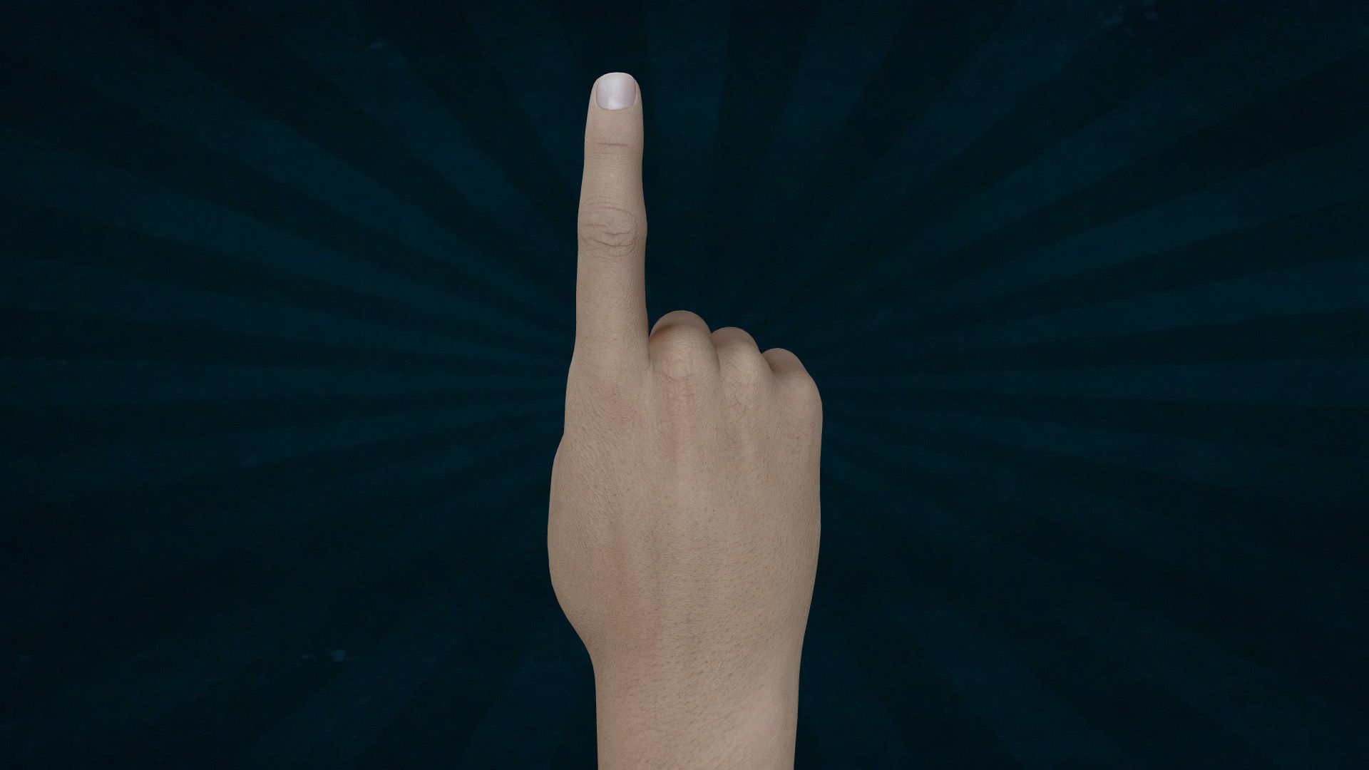 HAND-001 Right Hand Low-poly 3D model_2