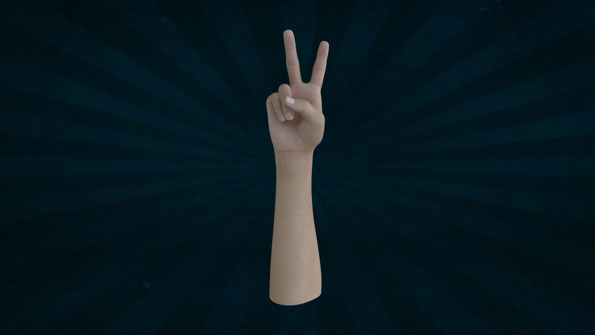 HAND-002 Right Hand Low-poly 3D model_3