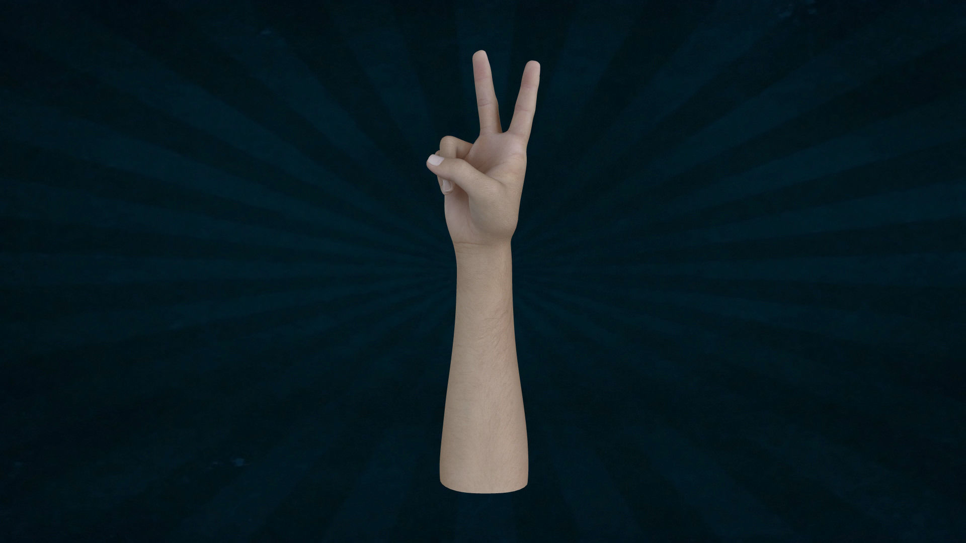 HAND-002 Right Hand Low-poly 3D model_5