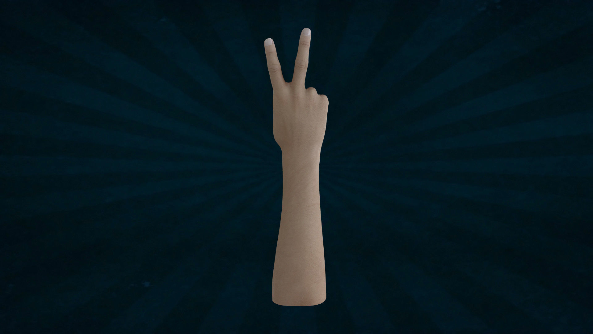 HAND-002 Right Hand Low-poly 3D model_4