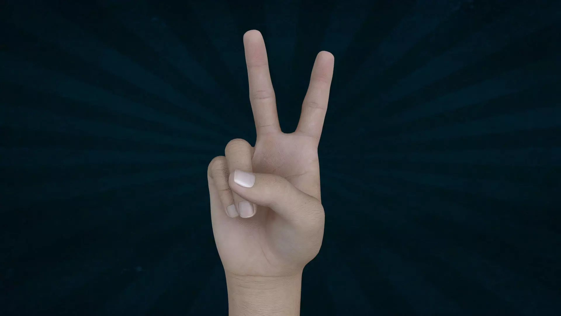 HAND-002 Right Hand Low-poly 3D model_0