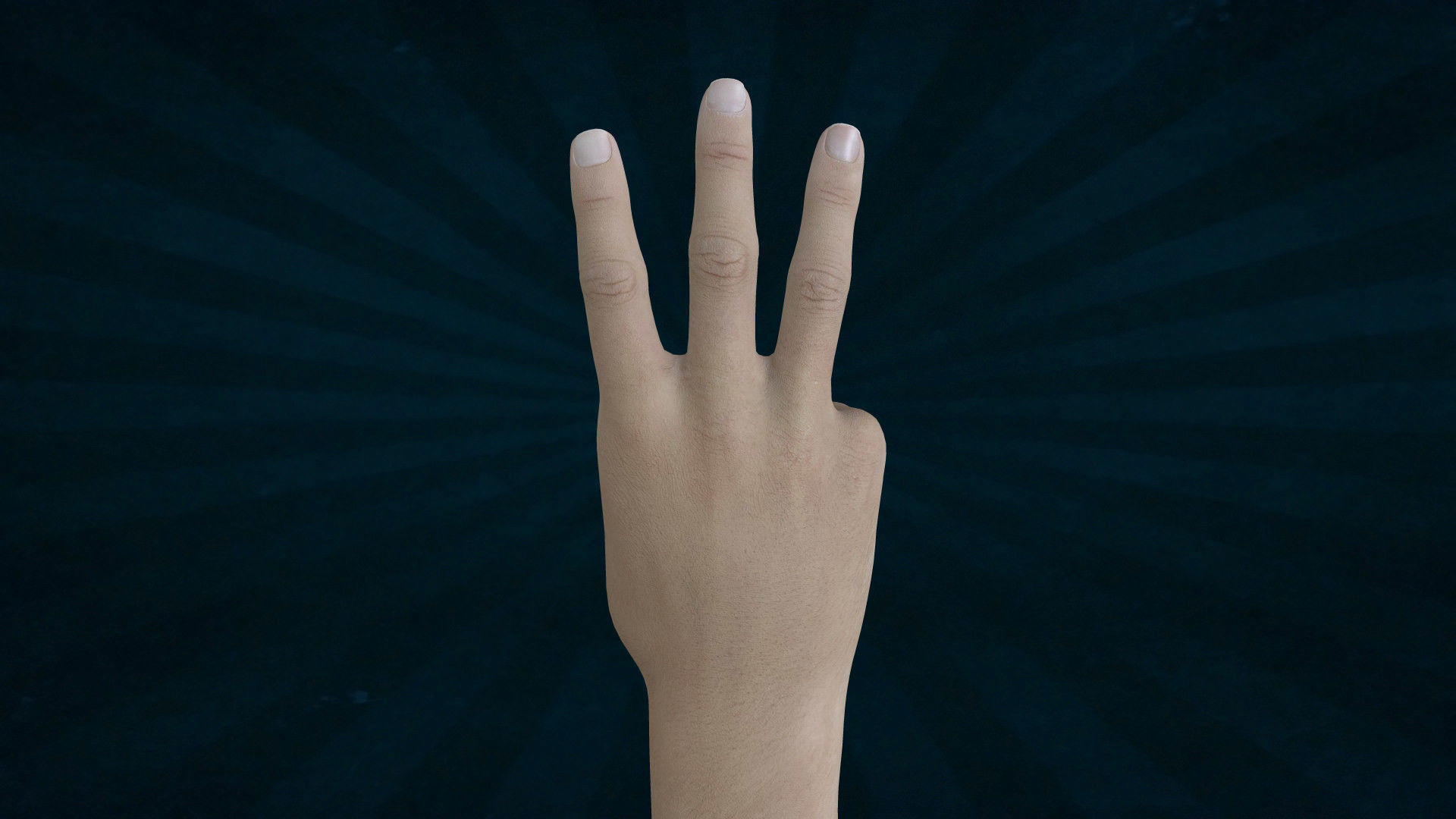 HAND-003 Right Hand Low-poly 3D model_2