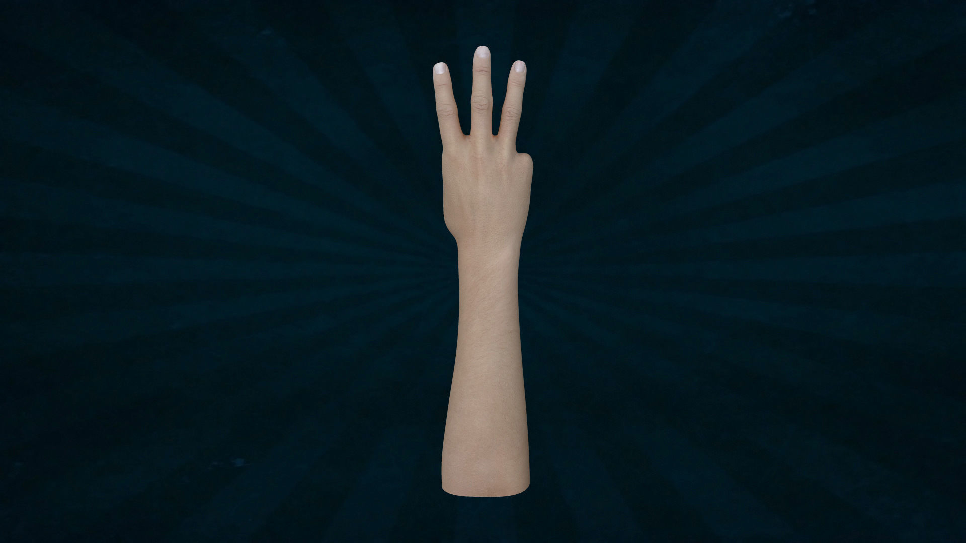 HAND-003 Right Hand Low-poly 3D model_5