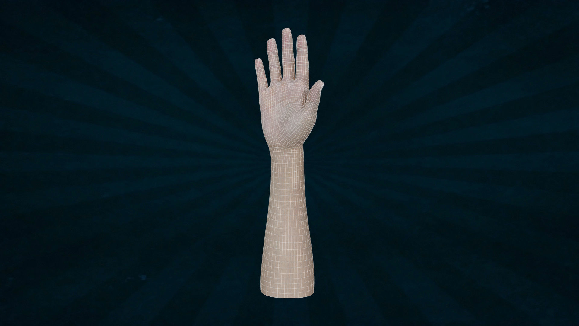 HAND-005 Right Hand Low-poly 3D model_6