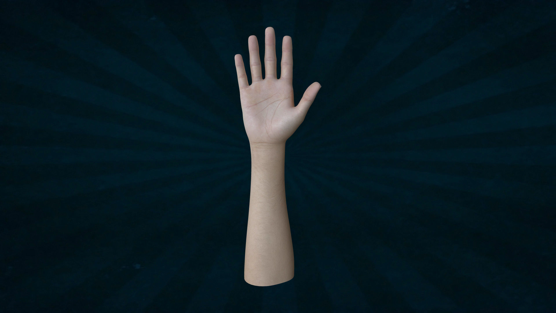 HAND-005 Right Hand Low-poly 3D model_4