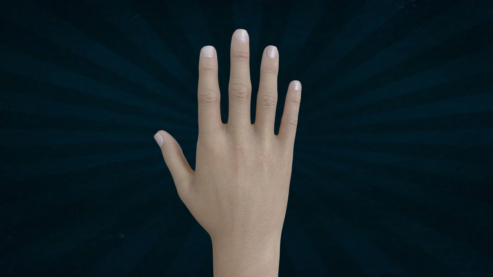 HAND-005 Right Hand Low-poly 3D model_2