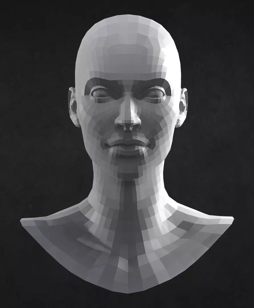 Female Caucasian Head low poly Low-poly 3D model_0