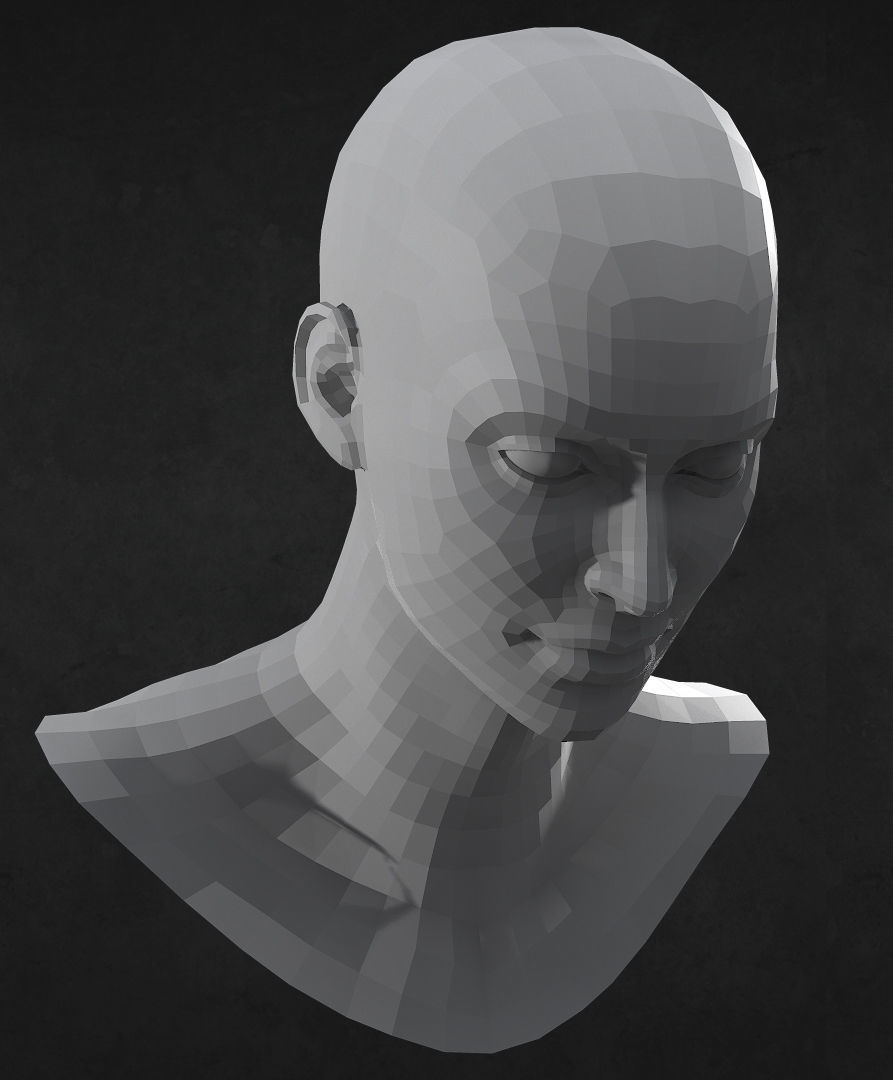 Female Caucasian Head low poly Low-poly 3D model_5