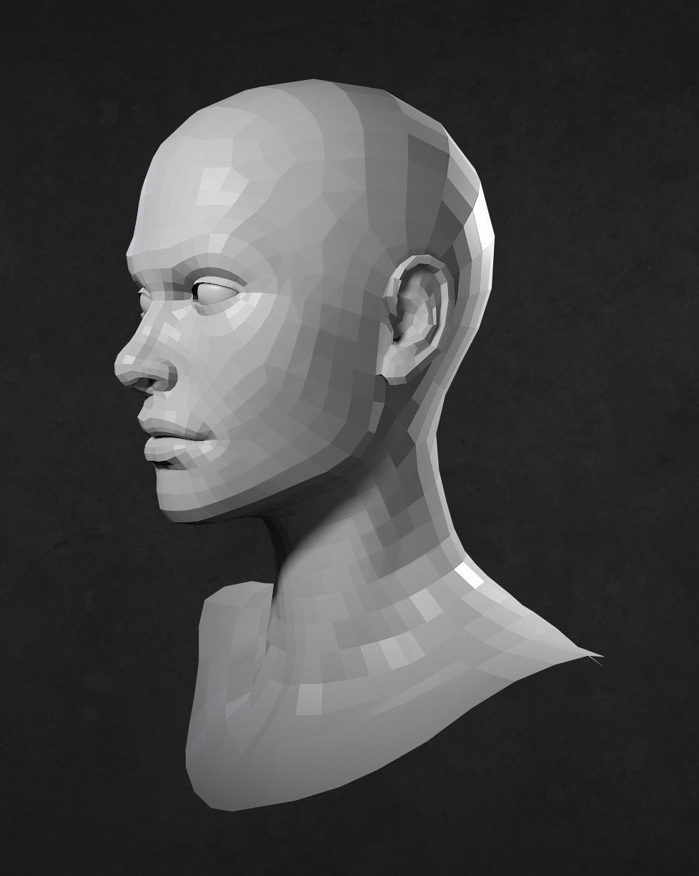 Female Caucasian Head 2 low poly Low-poly 3D model_5