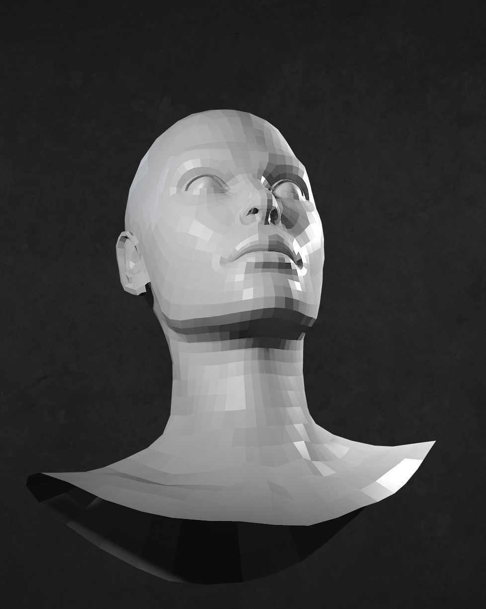 Female Caucasian Head 2 low poly Low-poly 3D model_3