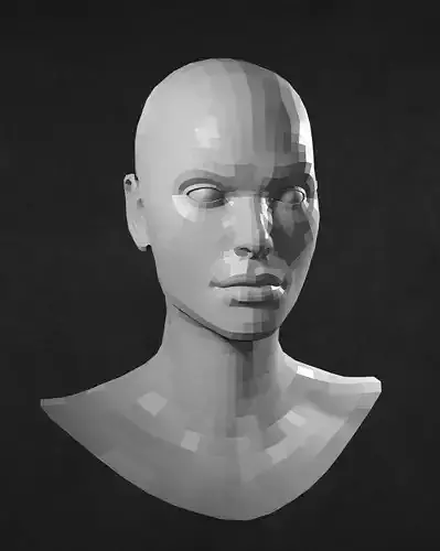 Female Caucasian Head 2 low poly Low-poly 3D model