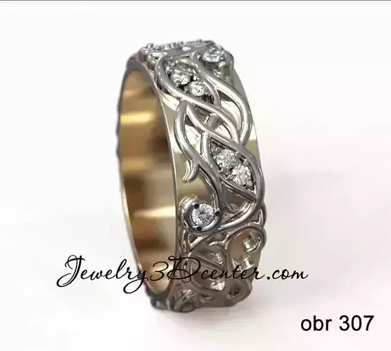ring obr 307