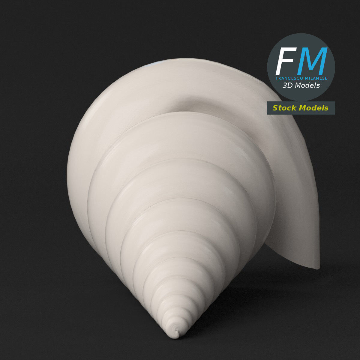 Stylized triton seashell 3D model_5
