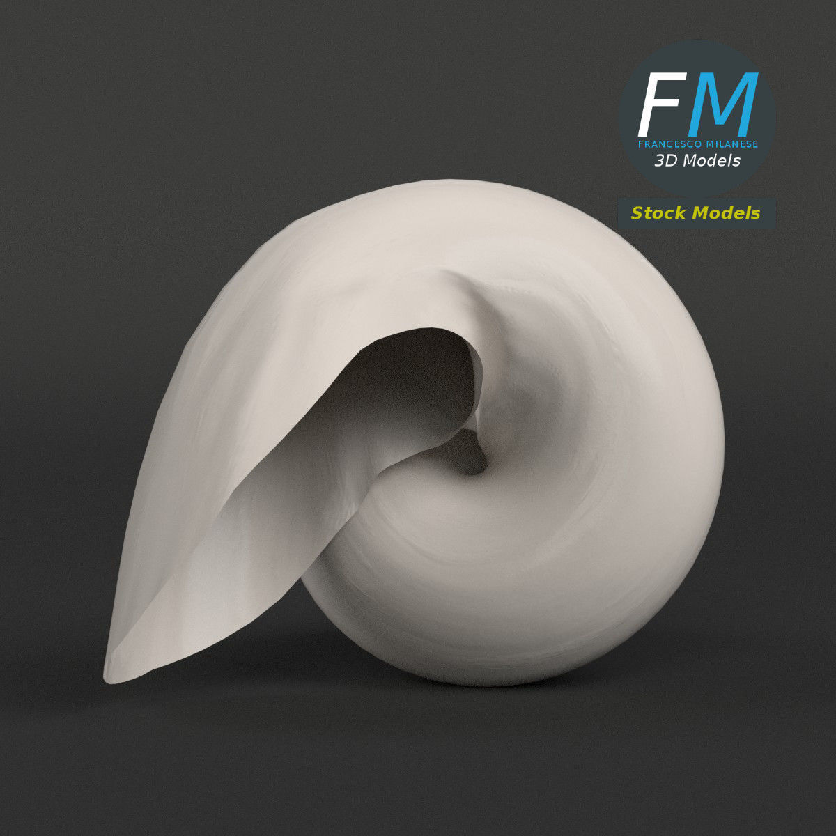 Stylized triton seashell 3D model_4